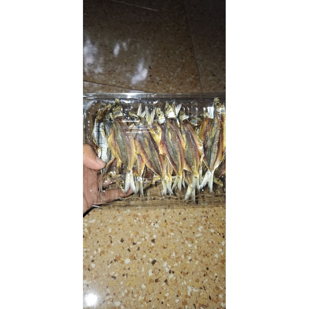 

ikan kering tembang