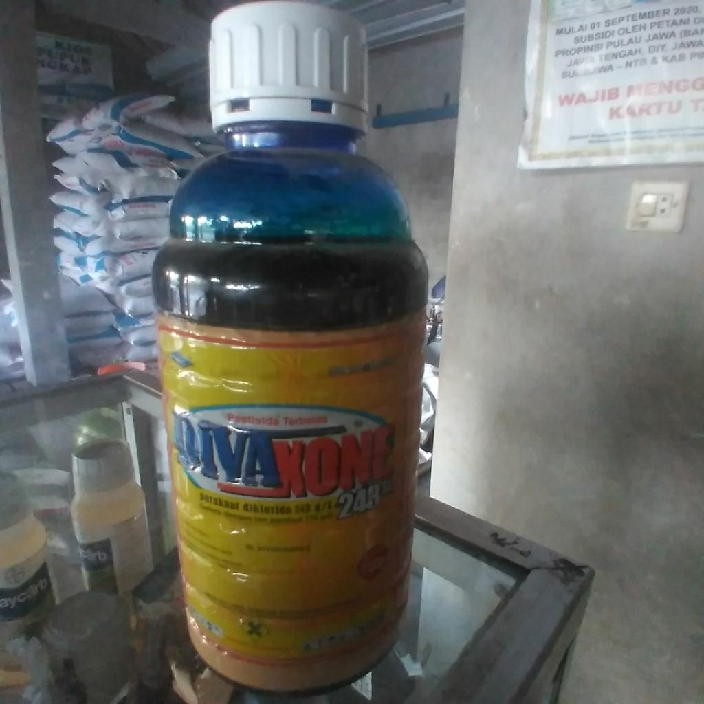 Divaxone 243 SL 1 Liter Herbisida Sistemik – Pembasmi Gulma Rumput & Daun Lebar