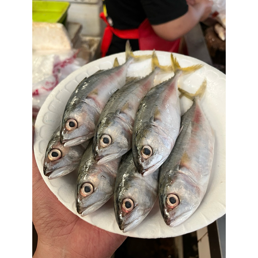 

[BARU] ikan kembung segarrr dibersihkan