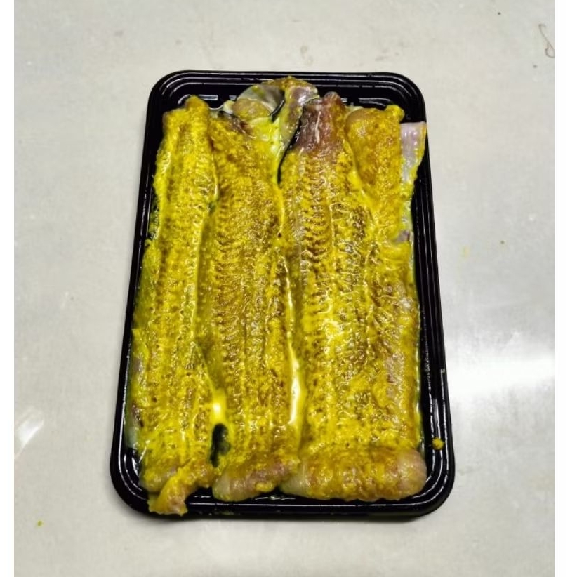 

IKAN LELE FILLET BUMBU KUNING MPASI BAYI ANAK