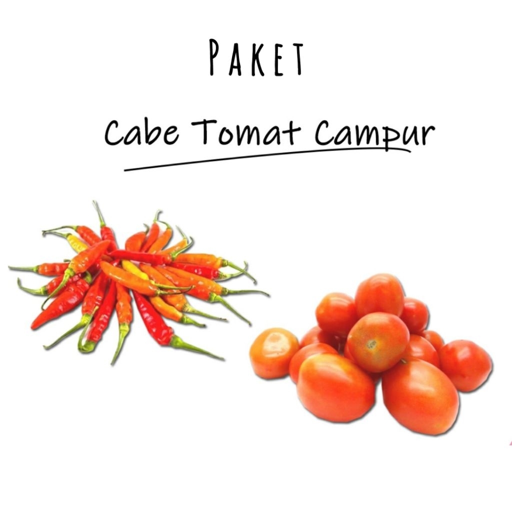 

CABAI & TOMAT SATU PAKET