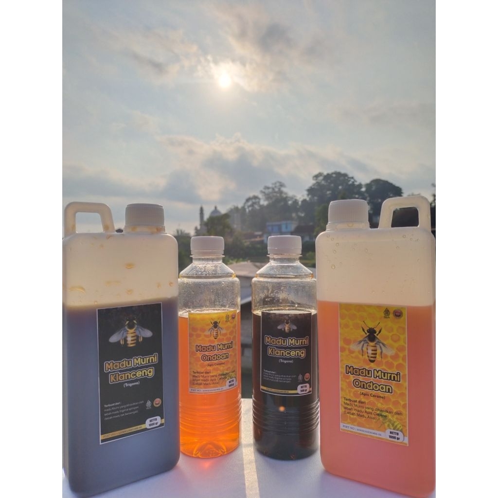 

Madu Murni Klanceng Madu hitam Klaceng Trigona Madu Herbal