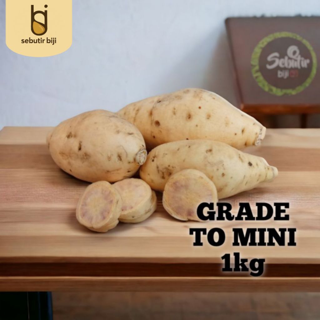 

Ubi madu Cilembu mini isi banyak spek TO - 1 kg