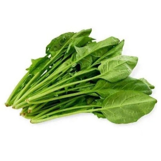 

Bayam Jepang / Bayem Jepang / Horenso / Spinacia Oleracea / Horenso Spinacia/ Bayam Jepang Segar / 1 Kg