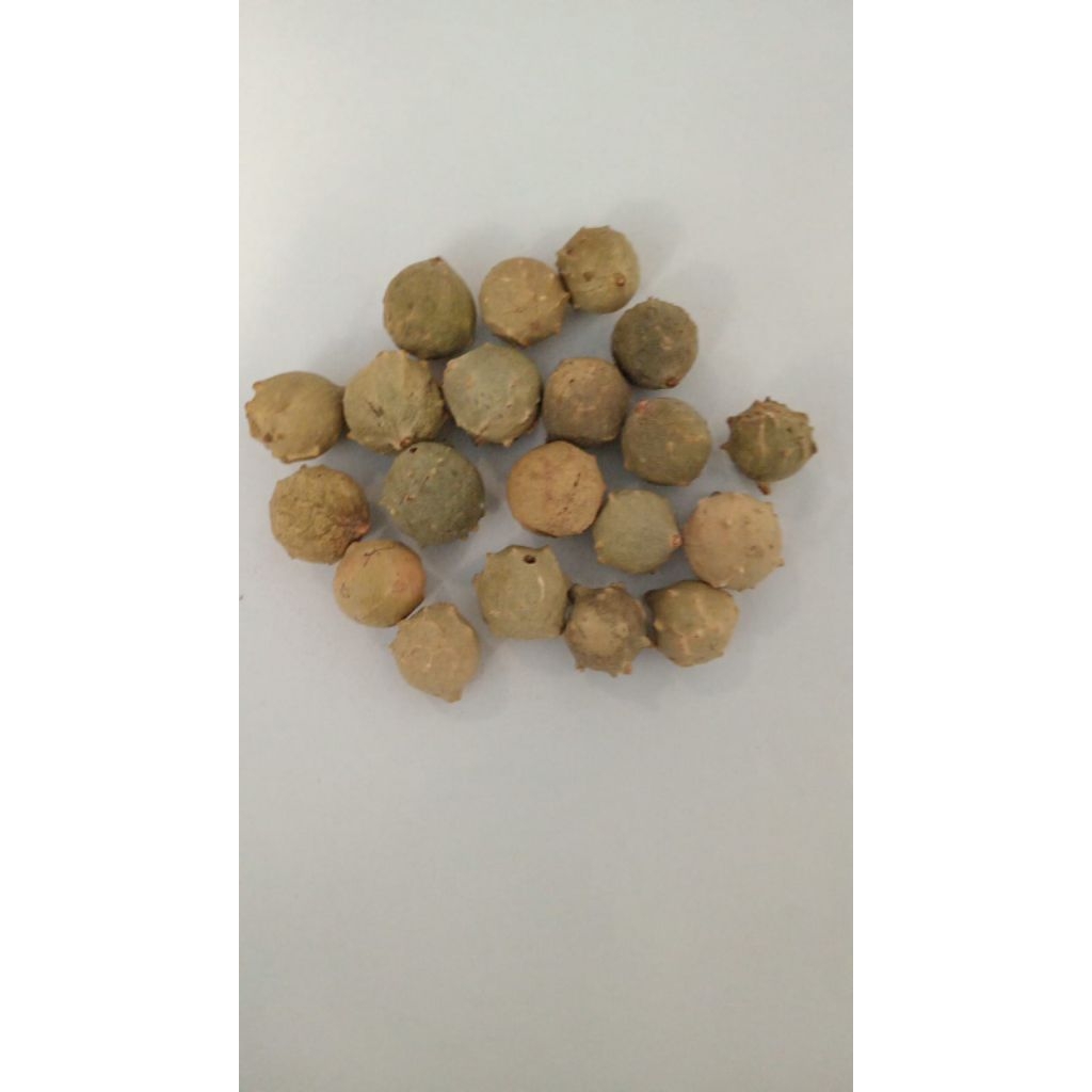 

MANJAKANI HIJAU GREEN GALLNUTS (250 GRAM) 100% ASLI