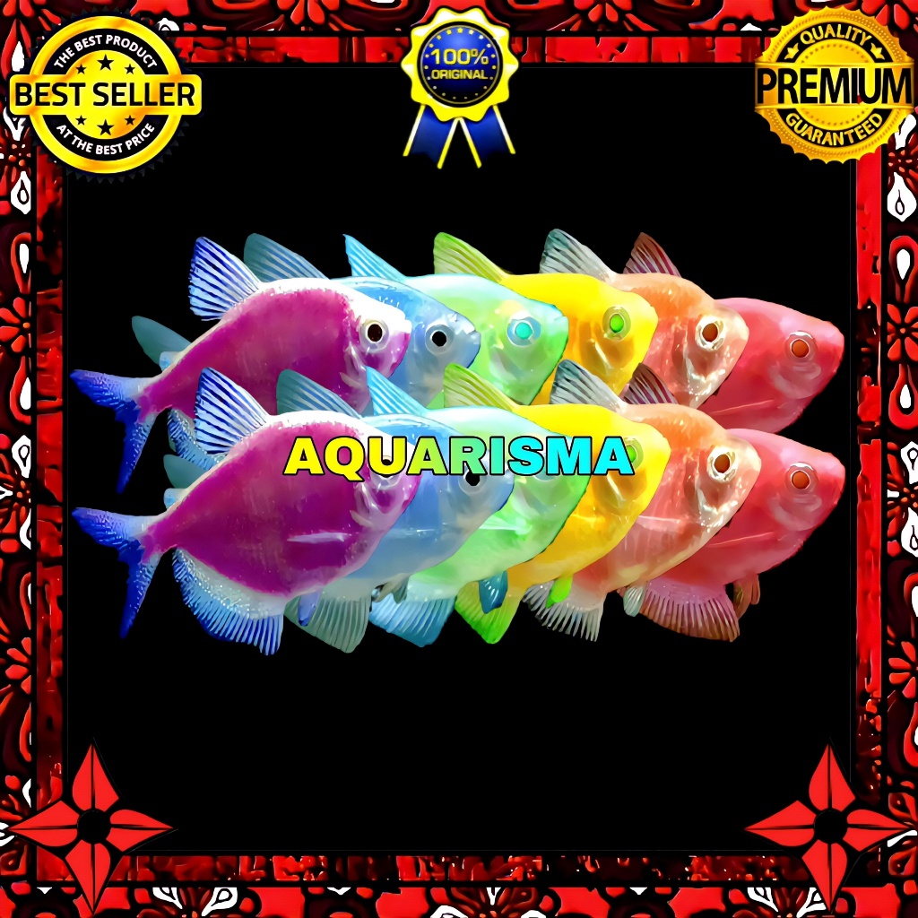 KEBUTUHAN AKUARIUM - TETRA SUMMER GLOFISH SHINNING RAINBOW 4-5 CM