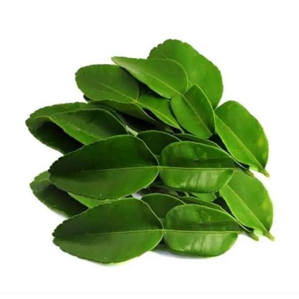 

Daun Jeruk 50 gram