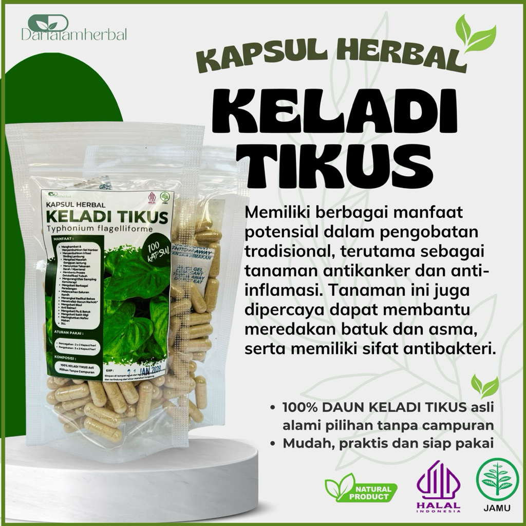 Kapsul Herbal KELADI TIKUS isi 100 kapsul | Kapsul Sejuta manfaat asli 100% Keladi Tikus Alami