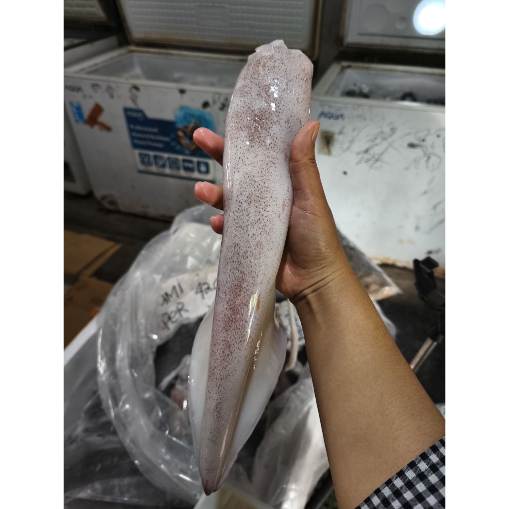 

CUMI JUMBO CUMI SUPER