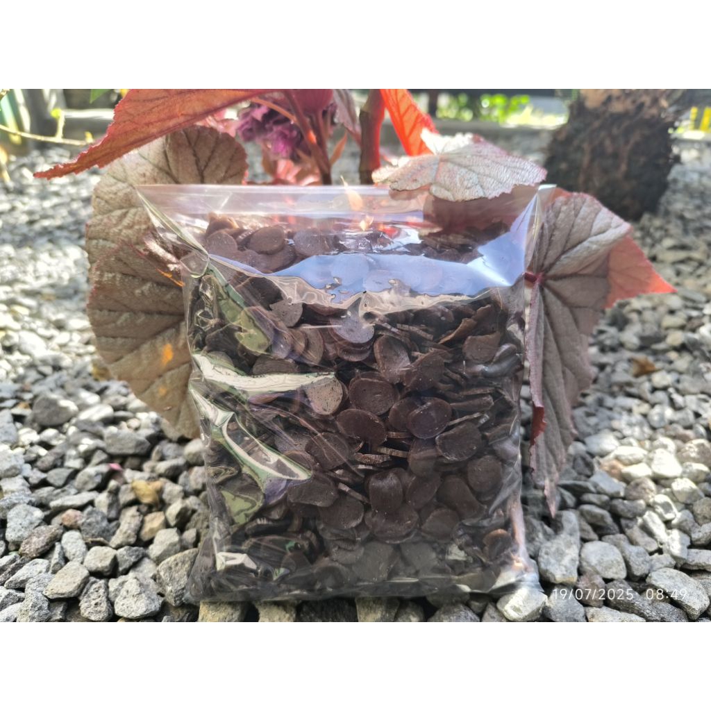 

babanggi kerupuk jengkol/ kerupuk jengkol mentah 1 kg