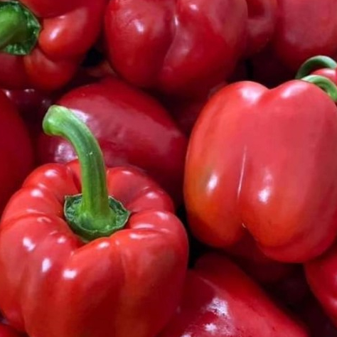 

Paprika Merah Segar netto 250gr