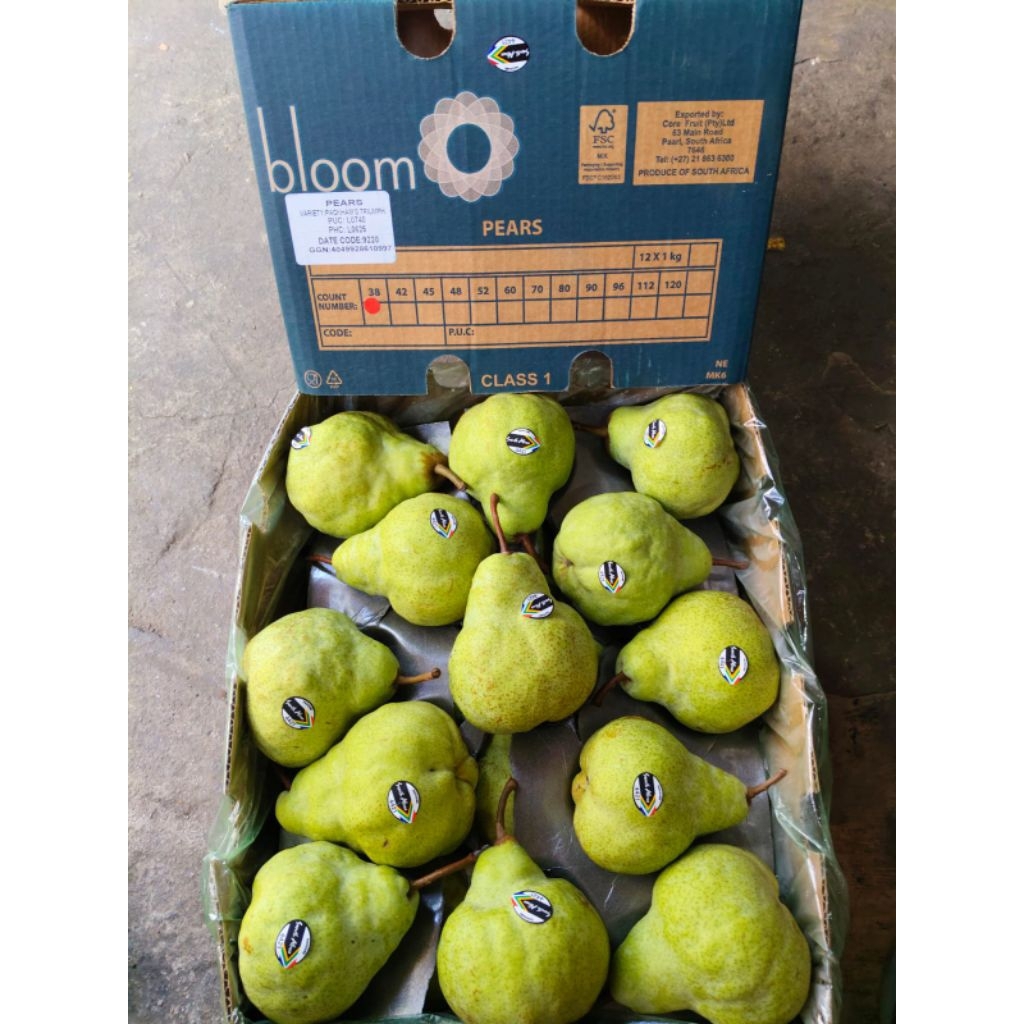 

Juragan Buah Pear Packham Afrika 1 Kg