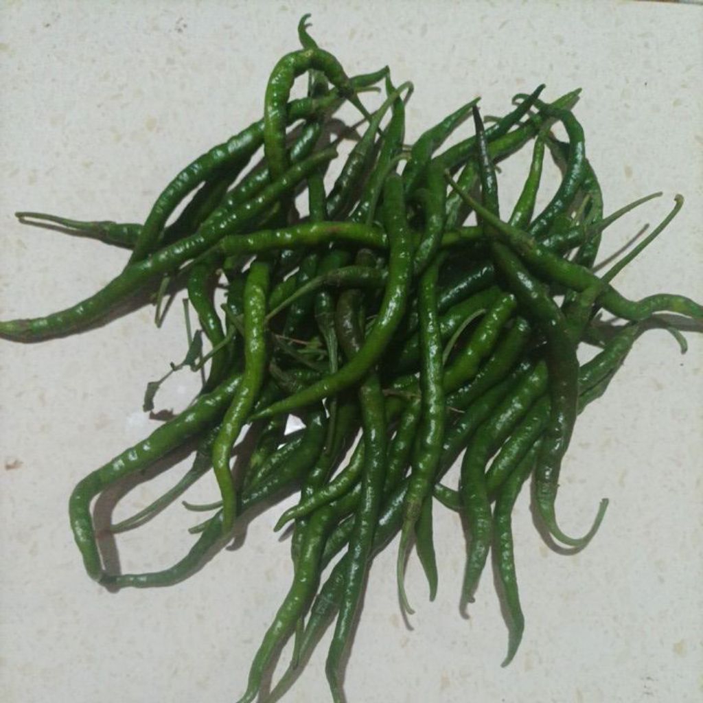 

Lombok Hijau Besar 500gram