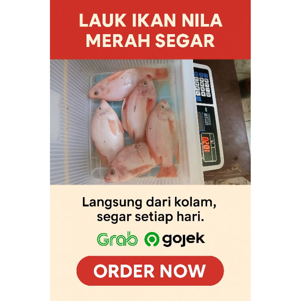 

ikannilamerahsegarbukanfrozenlangsungdarikolam