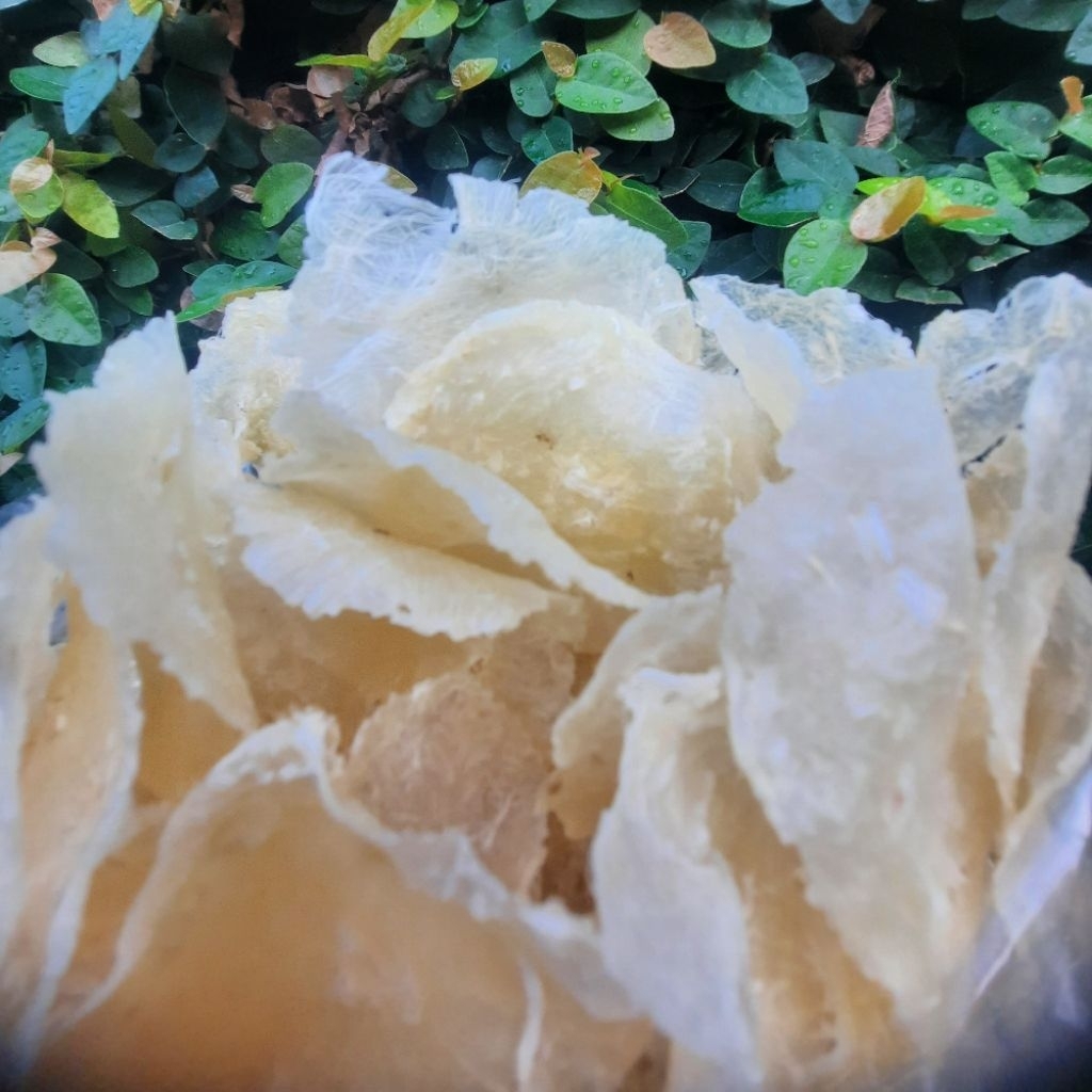 kripik Emping Garut | Kripik umbi murah/ Garut mentah asli