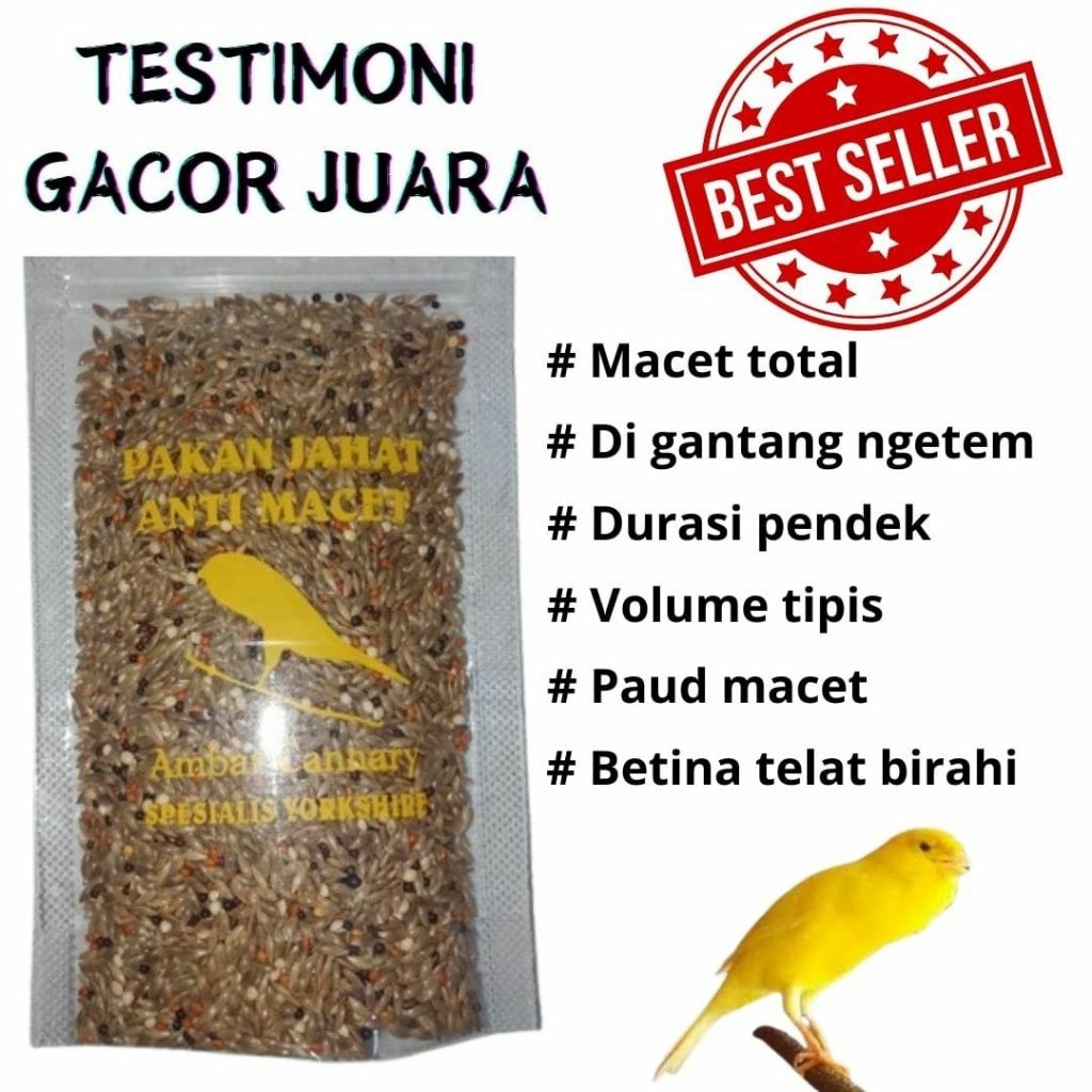 Pakan Kenari gacor jantan macet bunyi paud dan lomba