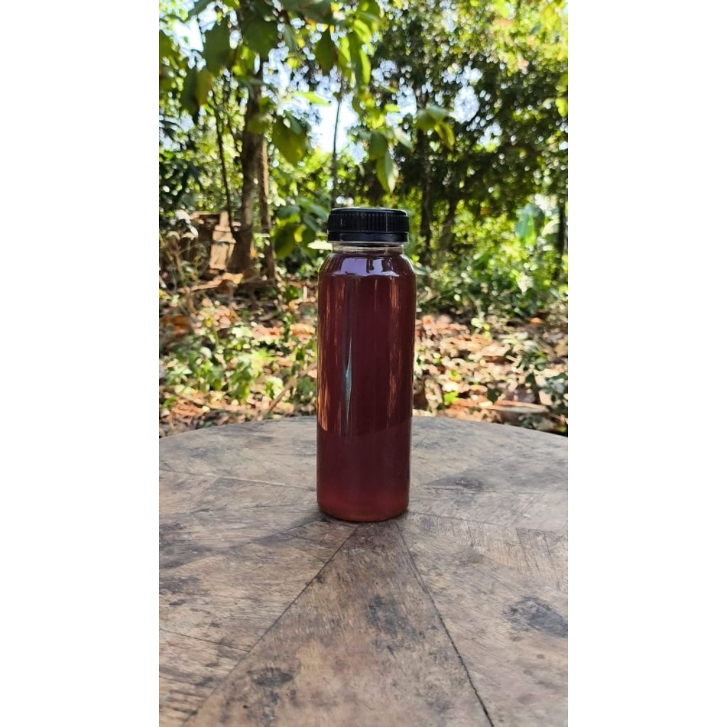 

madu klanceng murni 330gram cerana madu liar madu murni madu hutan madu asli murni