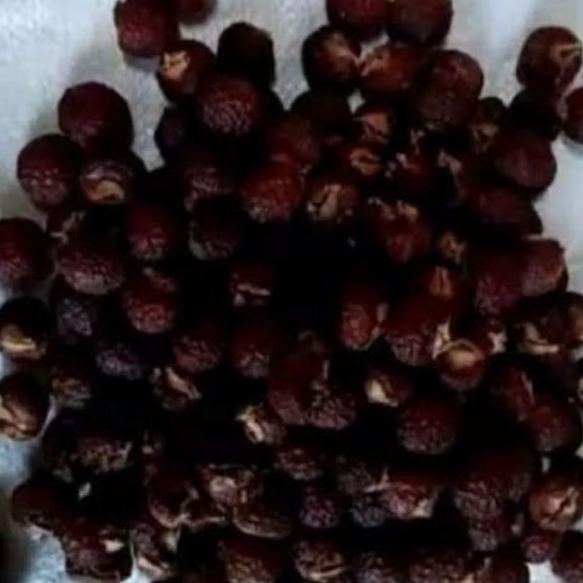 

biji lerak utuh bersih 500g