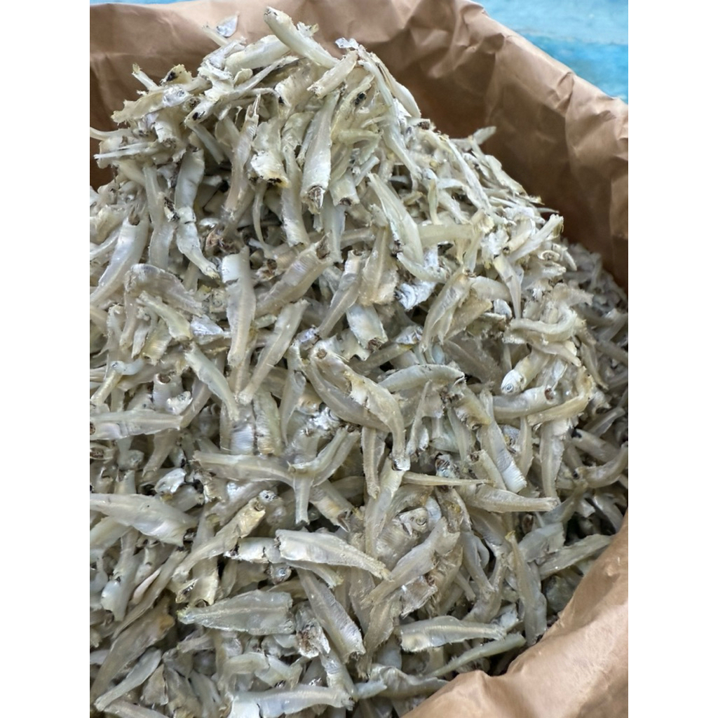 

TERI GEPENG SEMI TAWAR