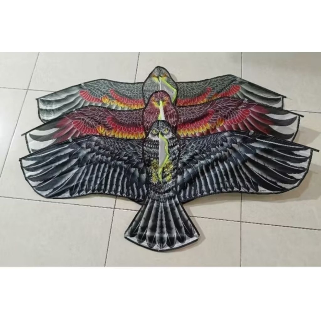 Layangan burung elang