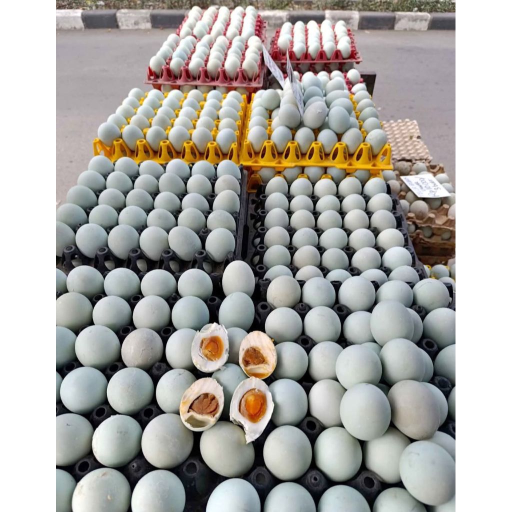 

TELUR ASIN KENJERAN 100℅ HALAL