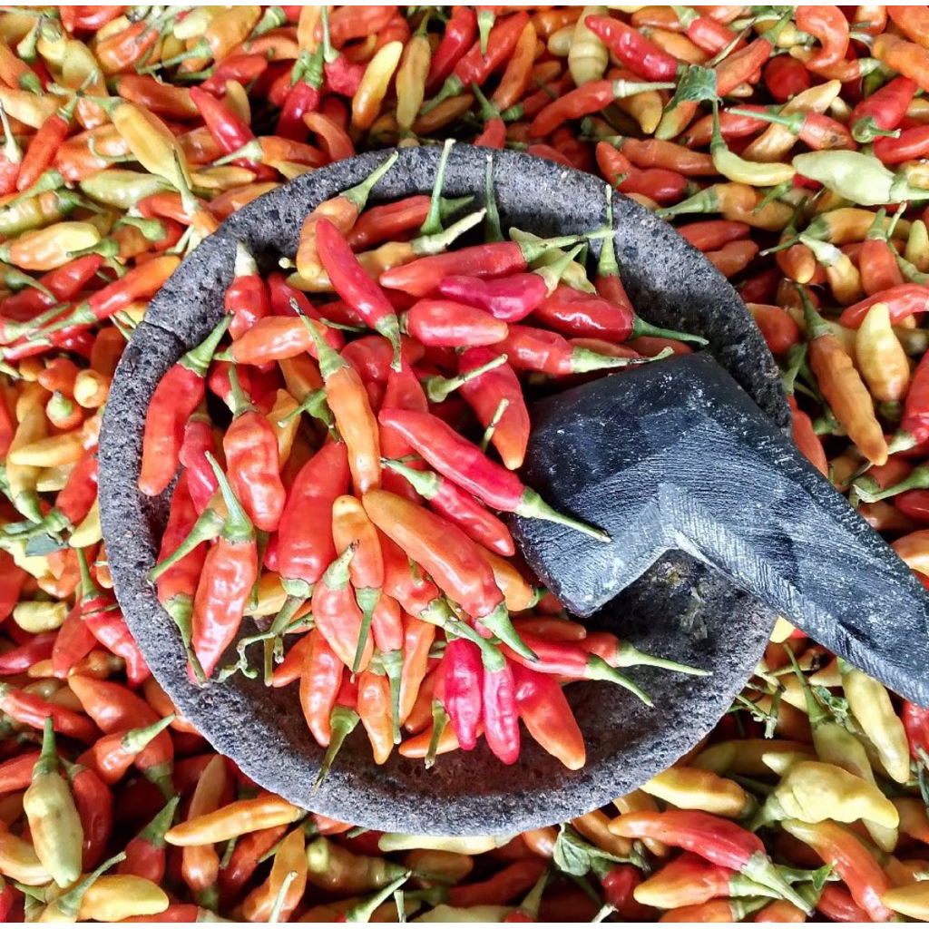 

CABA RAWIT Merah, cabai setan, cabai rawit, rawit merah