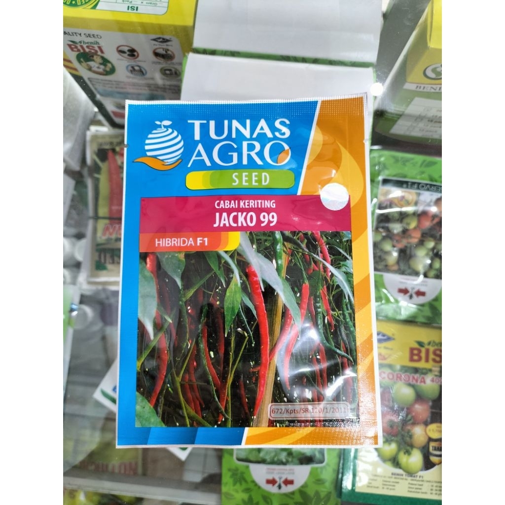 BENIH CABAI KERITING JACKO 99 -10gram