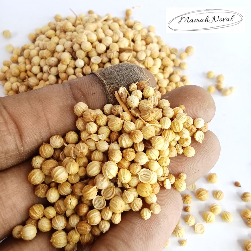 

ketumbar 50 gram / bumbu dapur / rempah / herbal / penyedap