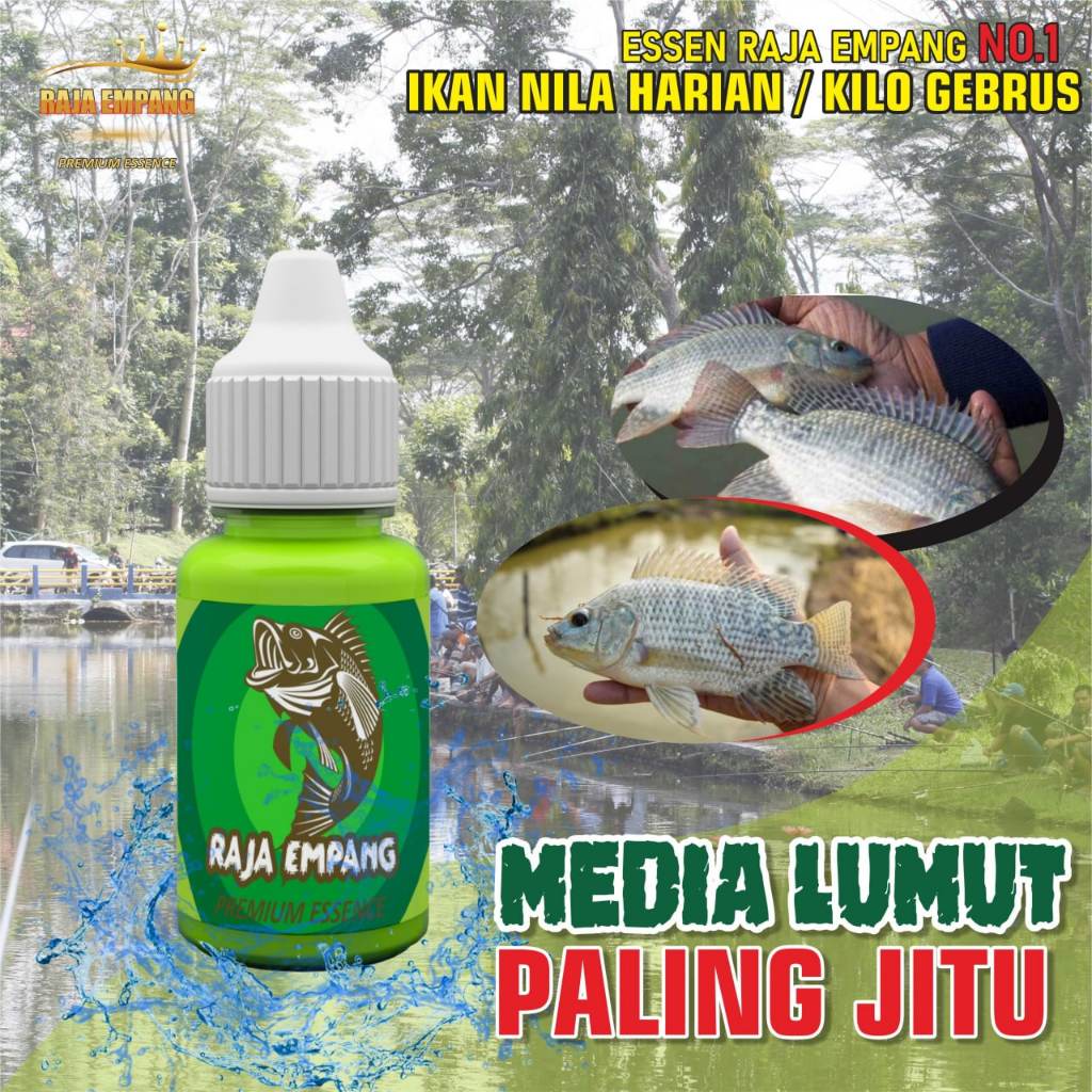 essen ikan nila liar media lumut essen ikan nila liar paling jitu essen lumut ikan nila babon