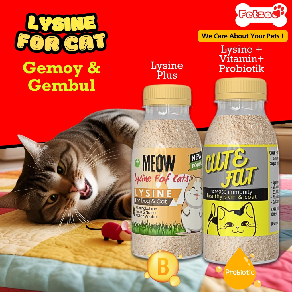 Cute fat Vitamin penggemuk kucing pelebat bulu kucing gemuk penambah nafsu makan anabul FETZOO
