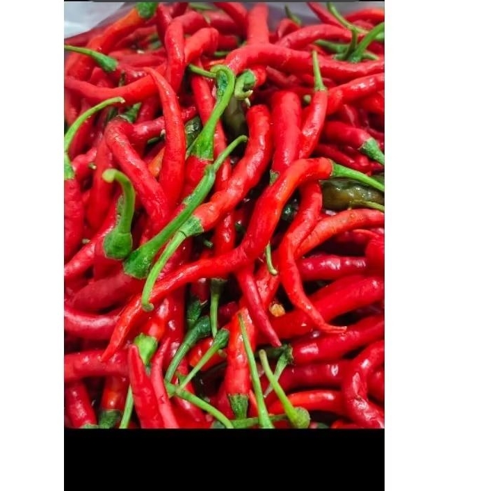 

cabe merah keriting 1 kg an fress