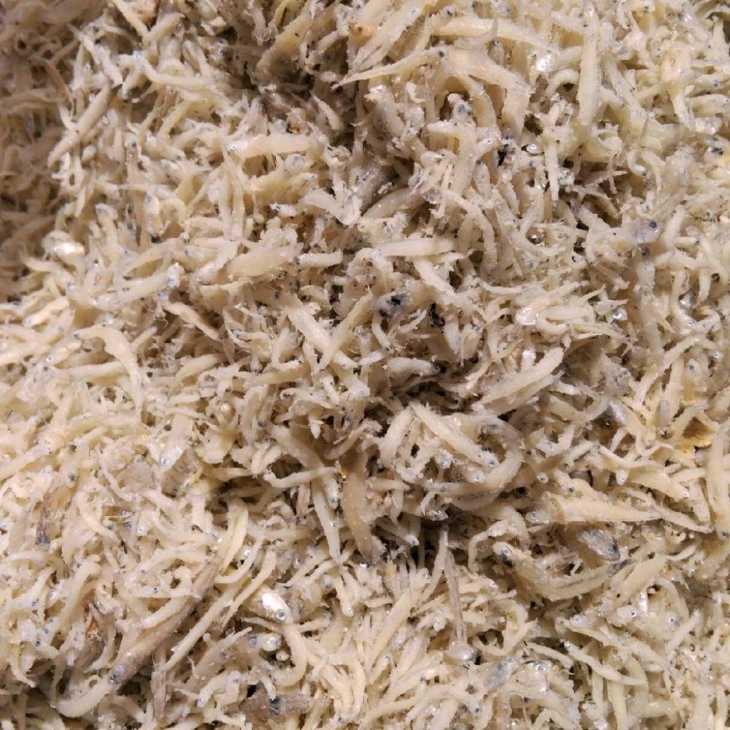 

Teri Medan Asin Kering Termurah 1kg grosir