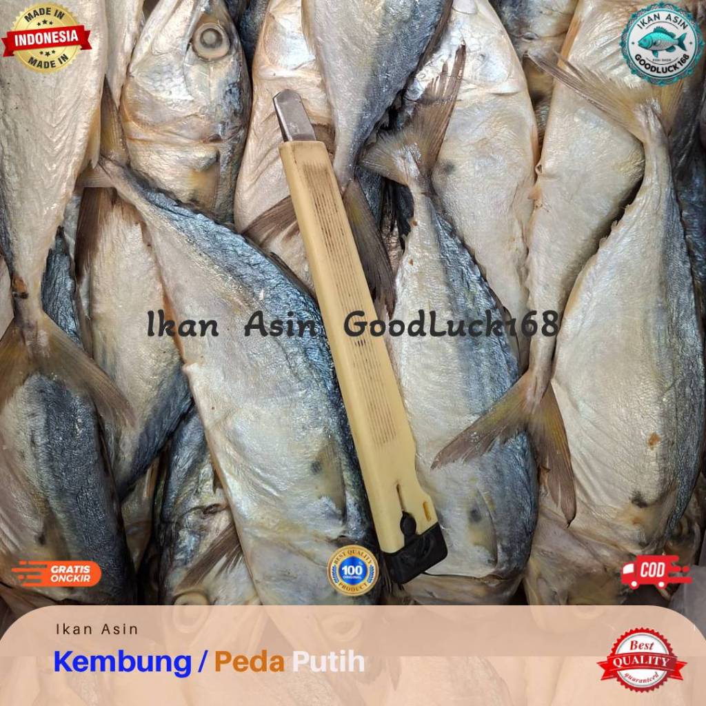 

Ikan Asin Peda Banjar Putih Super / Kembung Banjar
