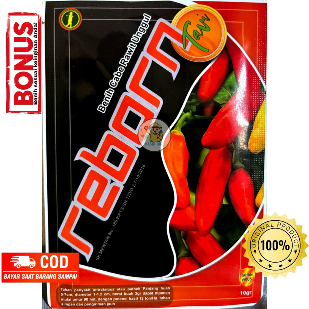 

Cabai Rawit Unggul REBORN Tavi dari CV Chan Inti Niaga