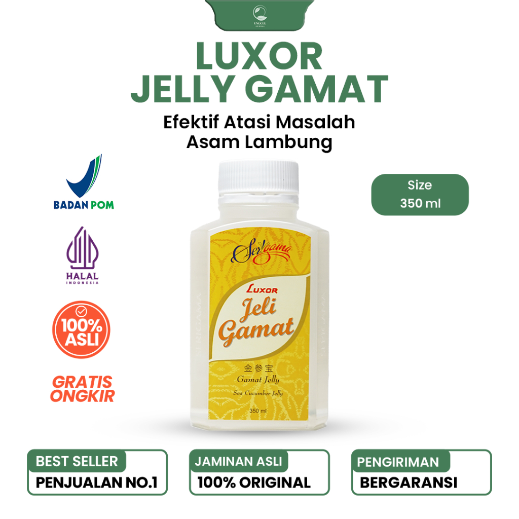 Jelly Gamat Asli | Jelly Gamat Asli 100% Original | LUXOR | 350 ML