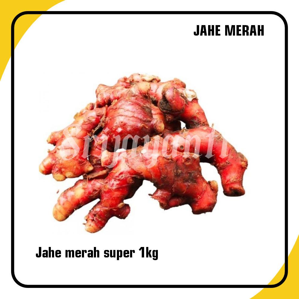 

Jahe merah rempah dan sayur segar 1kg