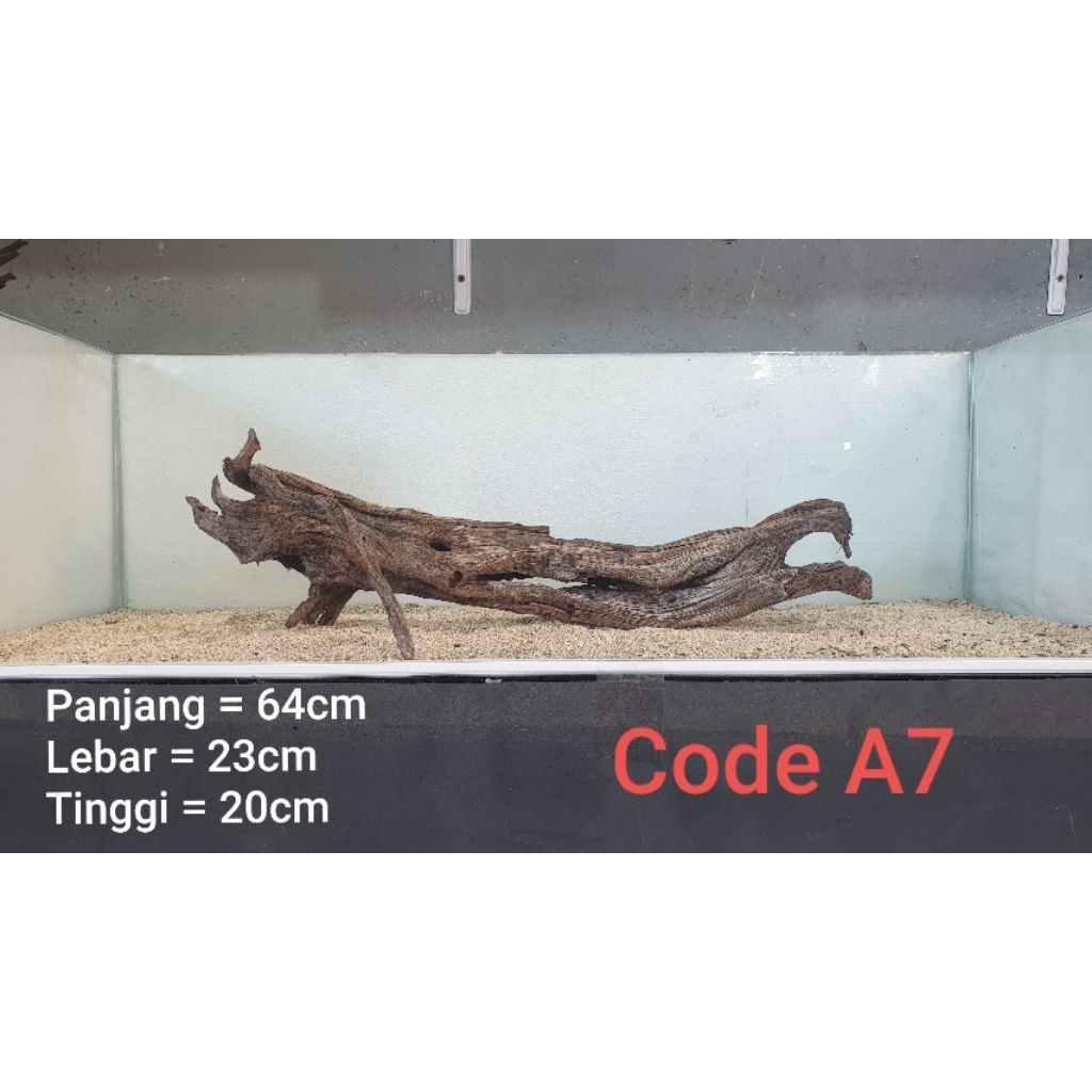 kayu santigi ( kayu tenggelam)