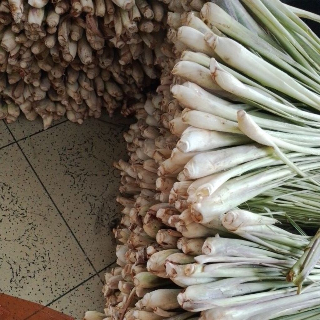 

Sereh Lokal Pilihan Fresh 1 KG