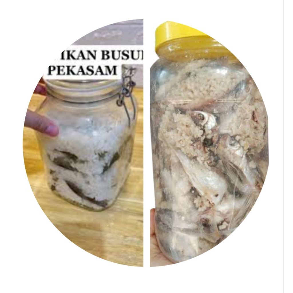 

bekasam ikan sungai pres ikan permentasi