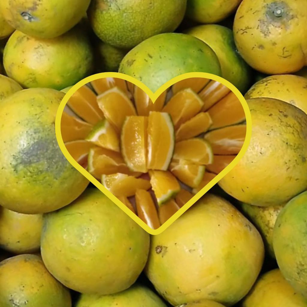 

[ 1 kg ] Jeruk Sunkist Baby Jaffa Java Malang Garansi Manis dan Banyak Air