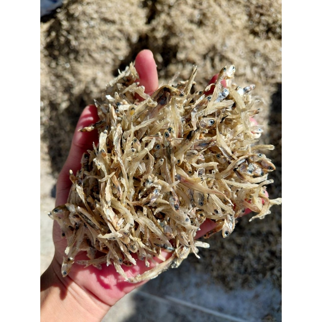 

Teri Nasi Ndolo Tawar Kering Gurih Lezat Banyak Manfaat 500Grm