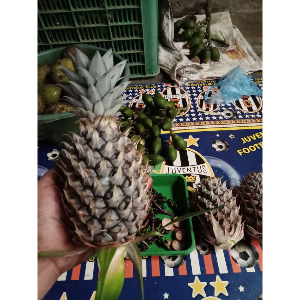 

buah nanas muda segar,fress,/1pcs.
