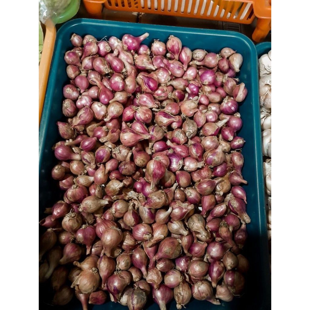 

Bawang merah besar kering super aroma wangi