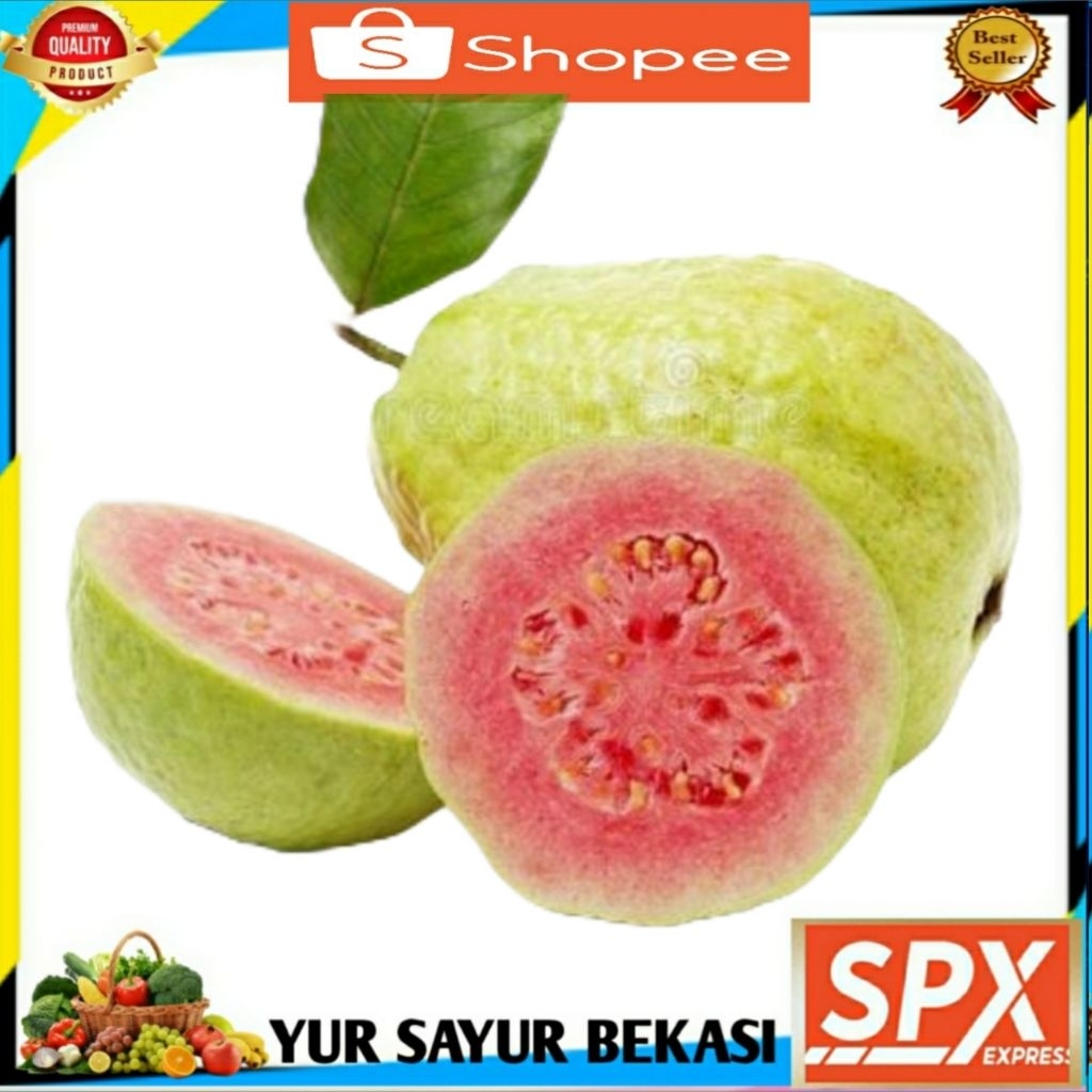 

Jambu Biji Merah 1kg.