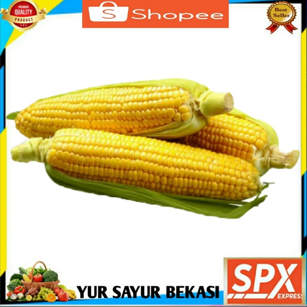 

Jagung Manis 500gr