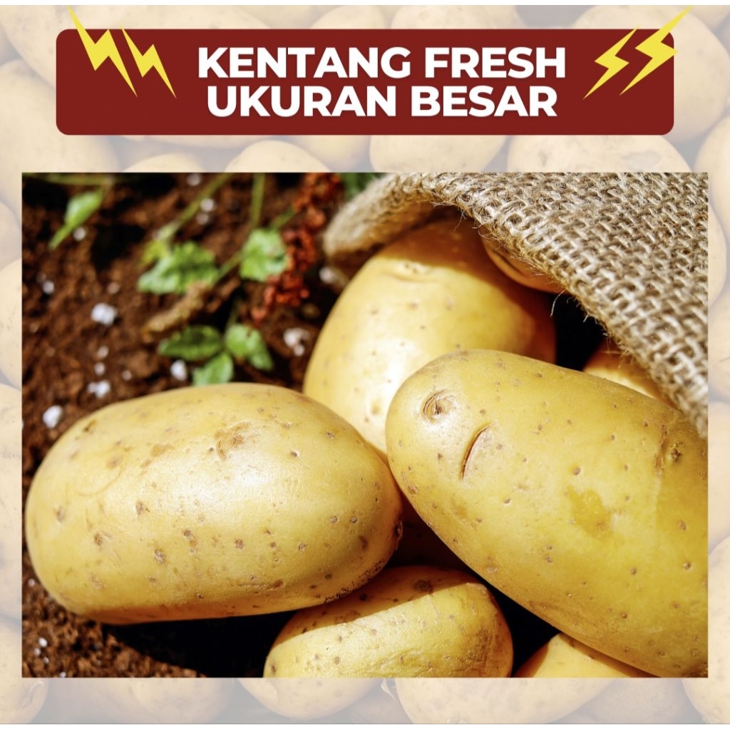 

Kentang Ukuran ABC 1kg / kentang ukuran besar / kentang sayur fresh