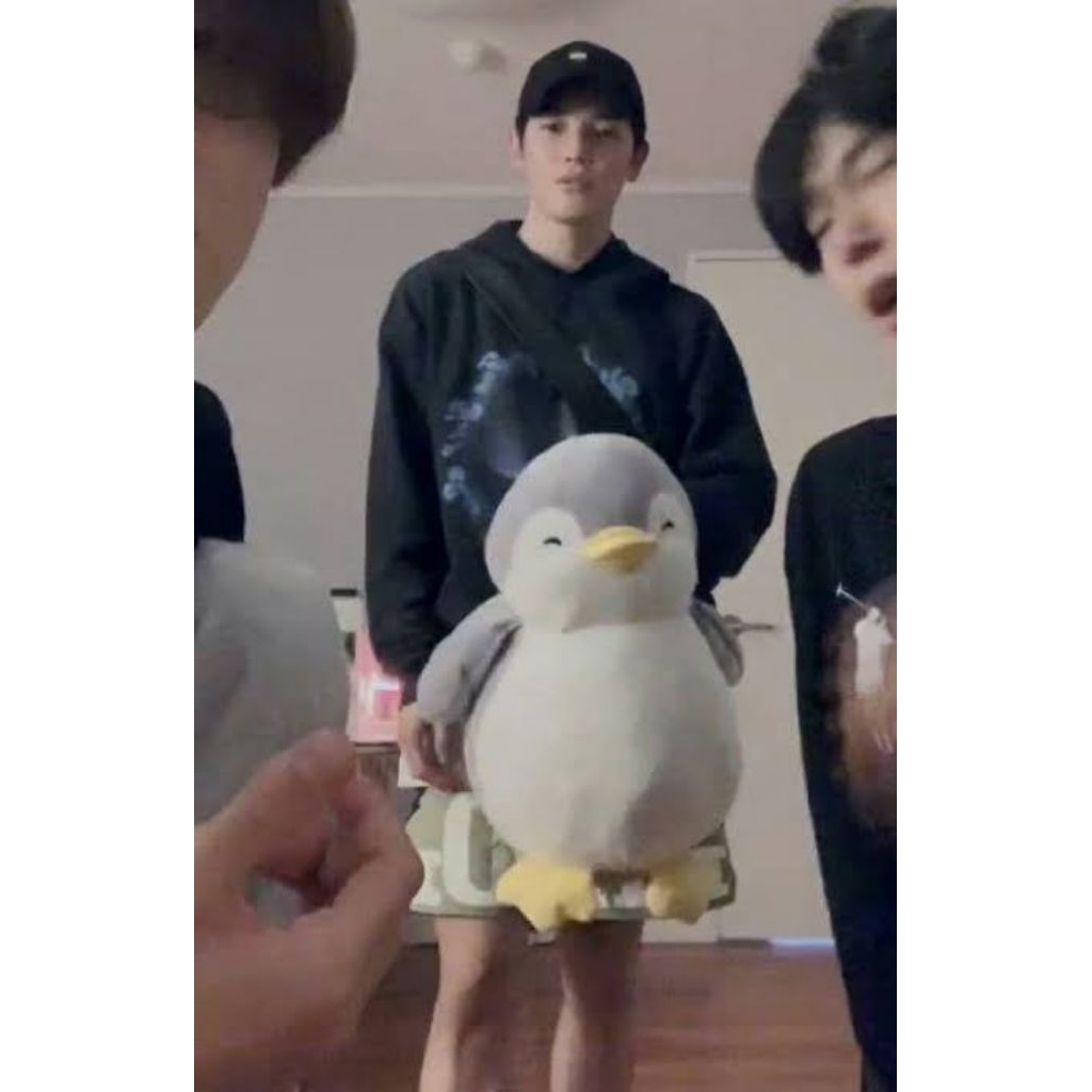 preloved boneka pinguin miniso doyoung nct