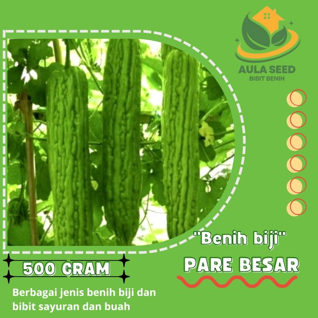 BENIH PARE BESAR PAKET 500 GRAM BENIH BIJI
