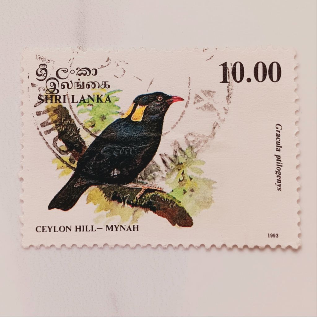 

(AD) Perangko Sri Lanka 1993 Birds 1993 - Sri Lanka Myna (Gracula ptilogenys) 10 rupee Used