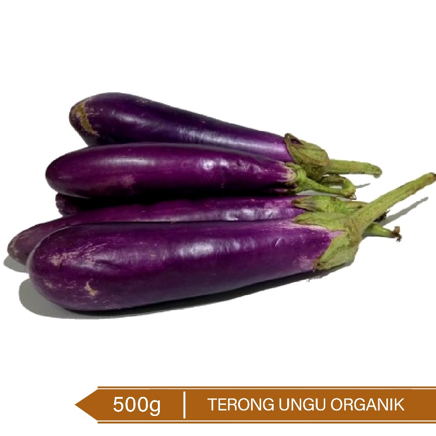 

Terong Ungu Organik / Organic Egg Plant 500g
